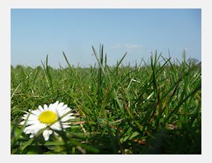 Gelök - Blasorchester