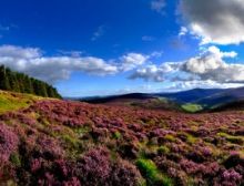 Wicklow Choral - Blasorchester