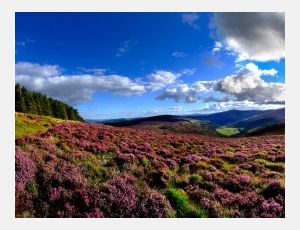 Wicklow Choral - Blasorchester