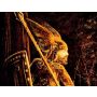 Hagen's Wacht - Fanfare