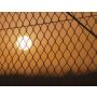 In the Cage - Fanfare
