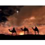 Kerstmars - Blasorchester