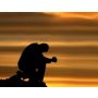 Solitary Prayer - Brass Band
