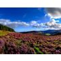 Wicklow Choral - Fanfare