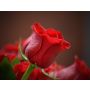 Concert Overture - Blasorchester