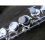 Concerto for Flute and Band - Blasorchester