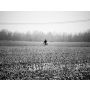De eenzame Fietser - Blasorchester
