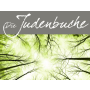 Die Judenbuche - Fanfare