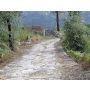 La Strada Romana - Blasorchester