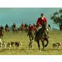 The Hunt - Fanfare