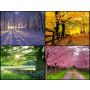 The Seasons - Fanfare