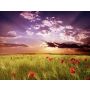 To a Beautiful Day - Fanfare
