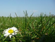 Gelök - Blasorchester