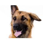 Aisha - Blasorchester