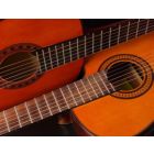 Concerto for Two (amplified) Guitars and Wind Band - Blasorchester