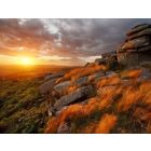 Dartmoor Pictures - Fanfare