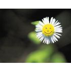 Forever Young Overture - Blasorchester