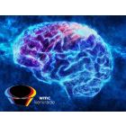 Frames of Mind - Fanfare