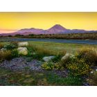 Maori Boat Song - Fanfare