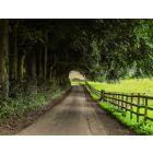 Trip down Memory Lane - Fanfare