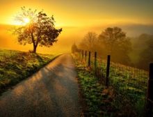 A New Day - Blasorchestor