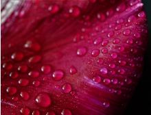 Capriccio - Blasorchester