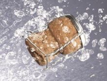 Champagner Galop - Fanfare