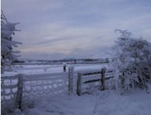 Dutch Christmas Carols - Fanfare
