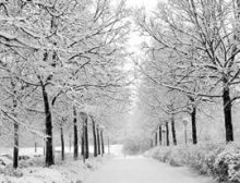 In the Bleak Midwinter - Blasorchester