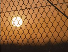 In the Cage - Fanfare