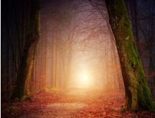 Of Fear and Quiet Hope - Blasorchester