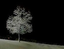 Silent Night - Blasorchester