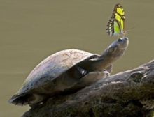 Slow Down - Ensemble