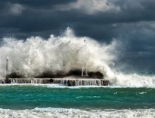 The Coast - Ensemble