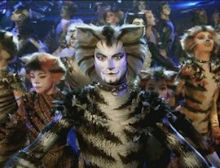 The Old Gumbie Cat - Fanfare