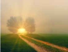 When I Dream - Flex 4