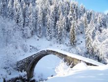 Winter Wonderland - Fanfare