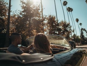 Afternoon Jaunt - Fanfare