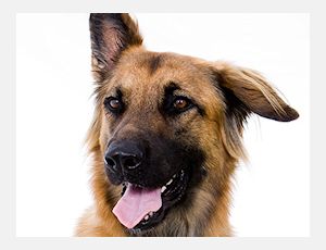 Aisha - Blasorchester