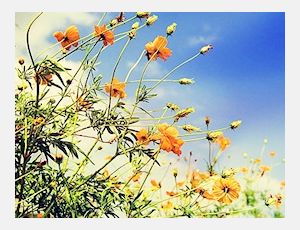 Au Printemps - Blasorchester