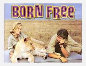 Born Free - Blasorchester