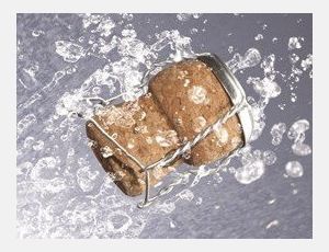 Champagner Galop - Fanfare