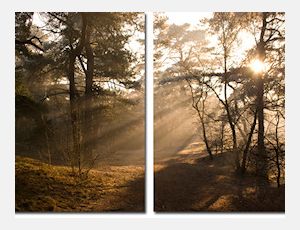 Diptic Symfonic - Blasorchester