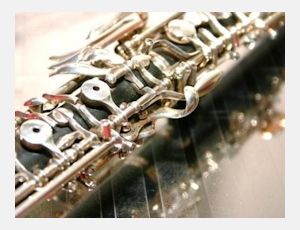 Divertimento for Oboe and Wind Orchestra Opus 9 - Blasorchester