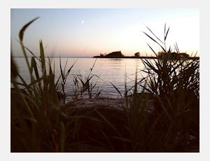 Ferdivedaasje - Blasorchester