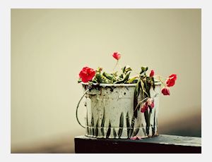 Flowers Swing - Blasorchester