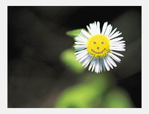 Forever Young Overture - Blasorchester