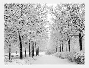 In the Bleak Midwinter - Blasorchester