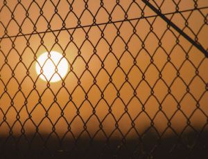 In the Cage - Fanfare