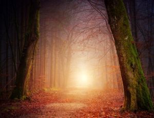 Of Fear and Quiet Hope - Blasorchester